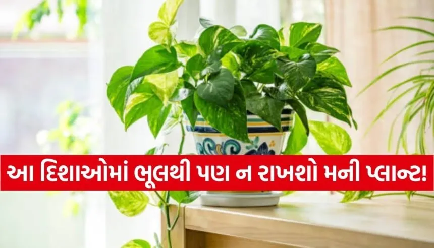Vastu for Home Plants