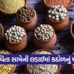 World Pulses Day 2026 Health Nutrition 1