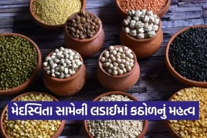 World Pulses Day 2026 Health Nutrition 1