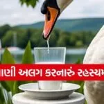 Rajhans bird