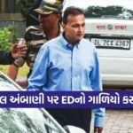 Ambani 1002