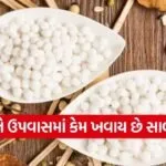 sabudana 1002