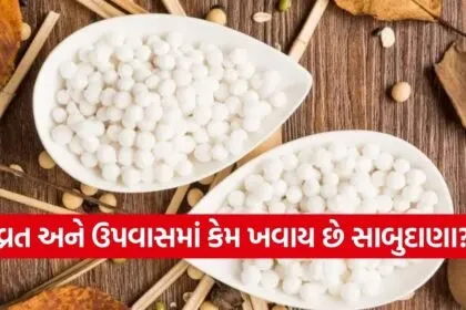 sabudana 1002