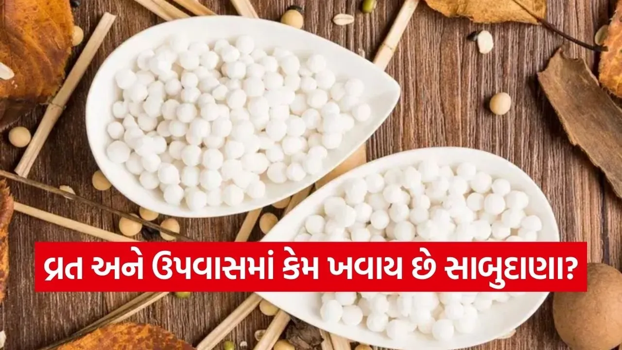 sabudana 1002.jpg