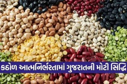 gujarat pulses self reliance mission 2026 1