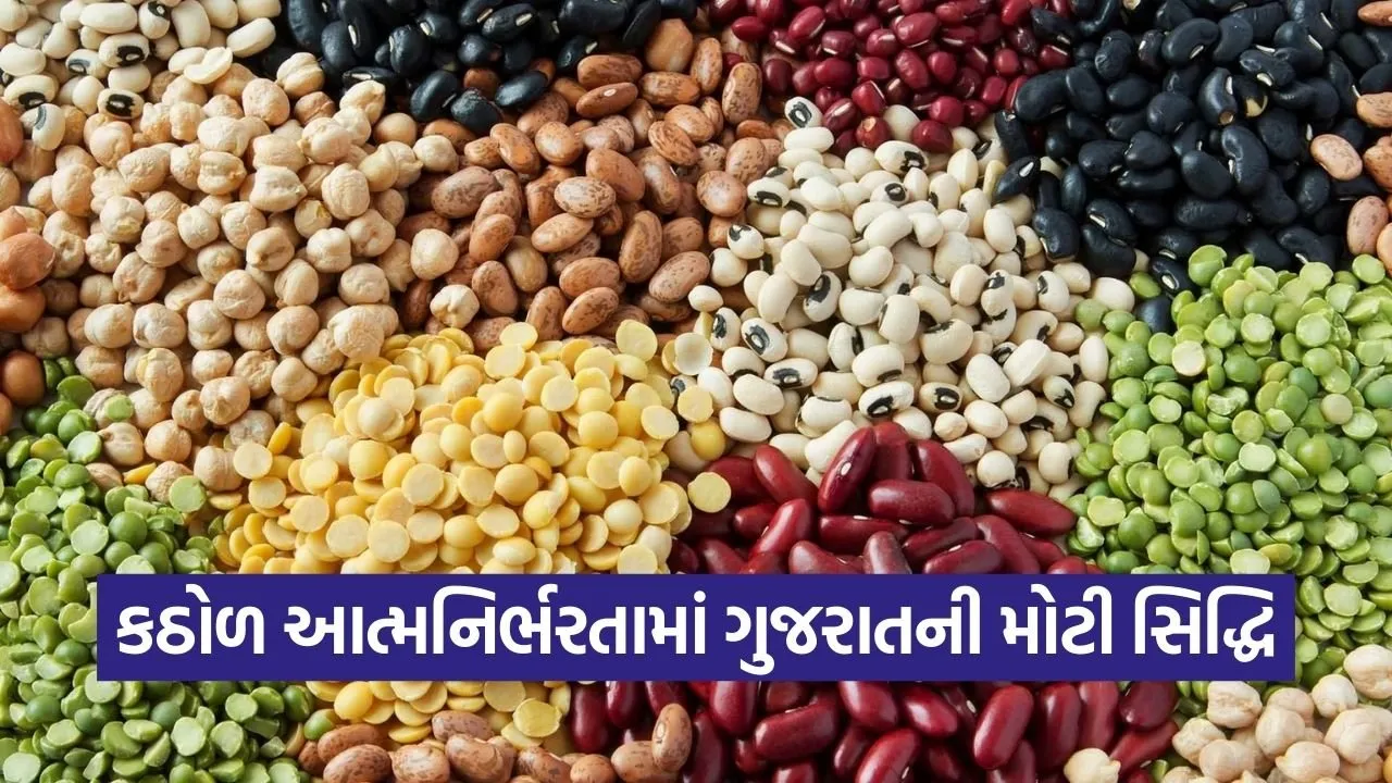 gujarat pulses self reliance mission 2026 1.jpg