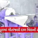 Vadodara Women Dal Mill Empowerment 1