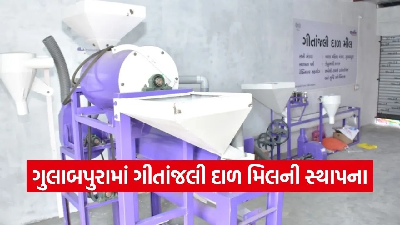 Vadodara Women Dal Mill Empowerment 1.jpg