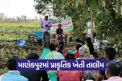 Tapi Natural Farming Training Manekpur