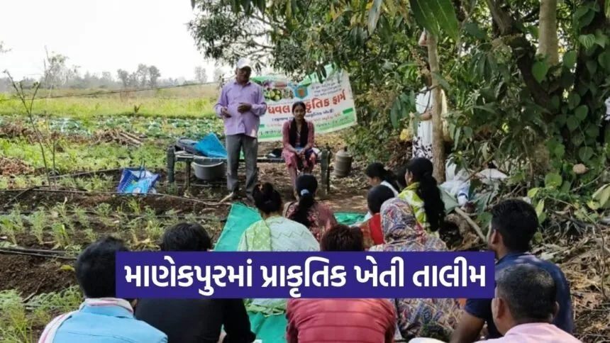 Tapi Natural Farming Training Manekpur