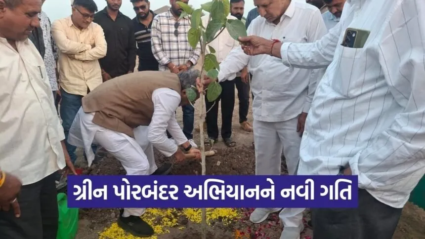 Green Porbandar Tree Plantation Drive 1