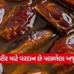 dharmishtha 1 21