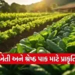 Zero Pesticide Natural Farming 1