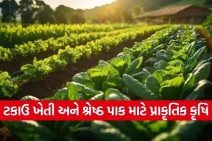 Zero Pesticide Natural Farming 1