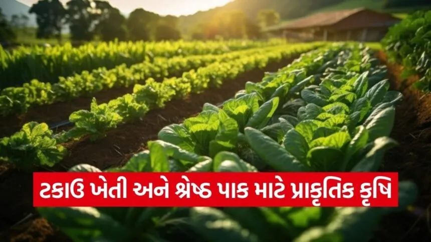 Zero Pesticide Natural Farming 1