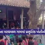 Dharmishtha 20260210 210001 0000