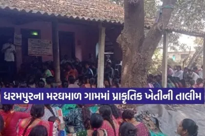 Dharmishtha 20260210 210001 0000