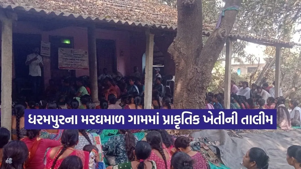 Dharmishtha 20260210 210001 0000.jpg