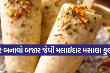 Masala Kulfi