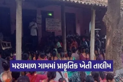 Dharampur Natural Farming Training