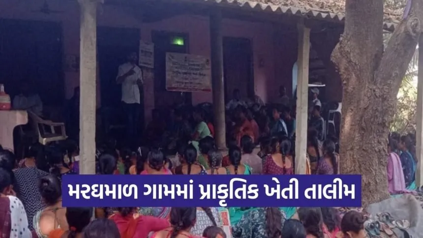 Dharampur Natural Farming Training