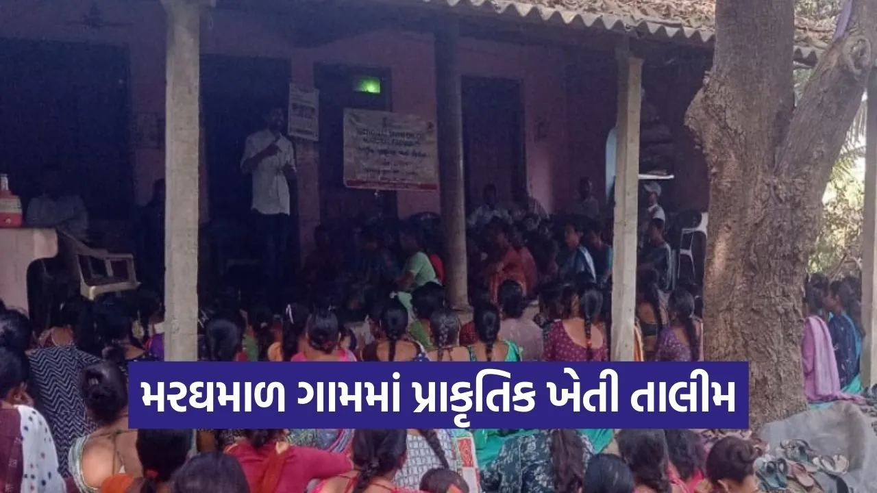 Dharampur Natural Farming Training.jpg