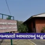 Rampara Wildlife Sanctuary Morbi Gujarat 1