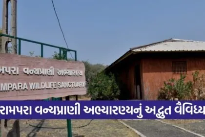 Rampara Wildlife Sanctuary Morbi Gujarat 1