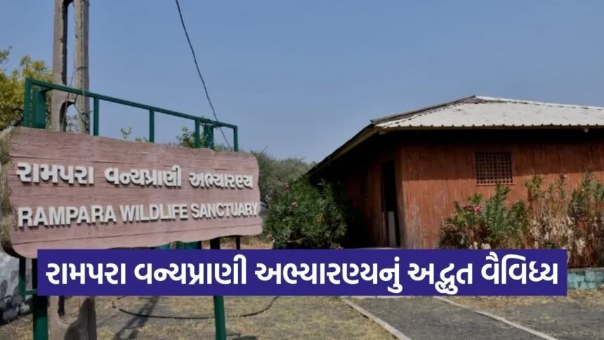 Rampara Wildlife Sanctuary Morbi Gujarat 1