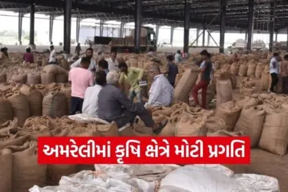 Amreli District Agriculture Development Scheme