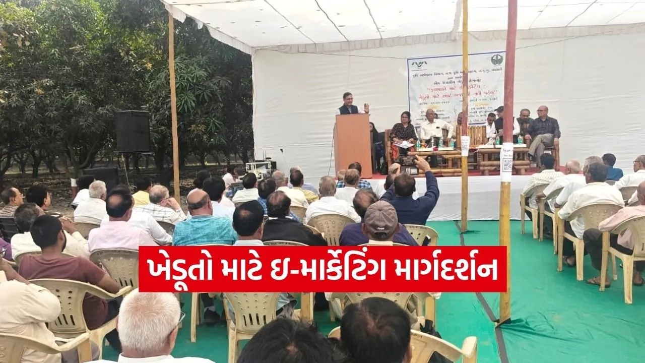 Dharmishtha 20260211 192524 0000.jpg