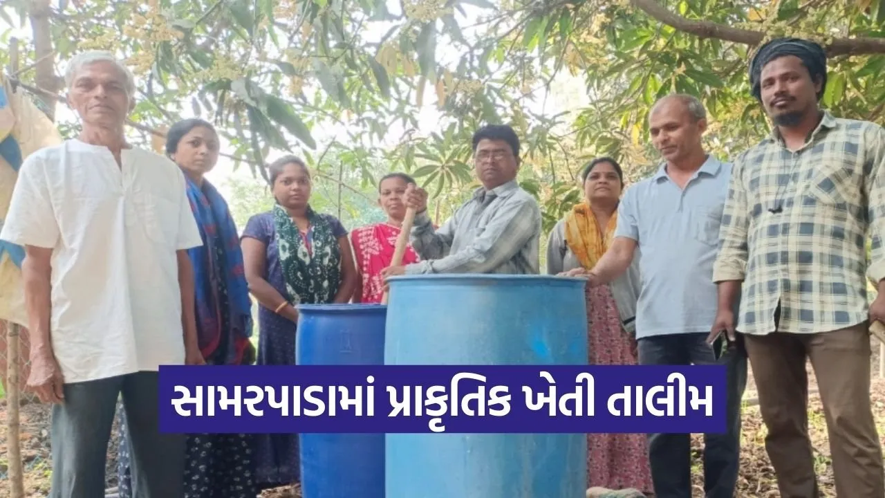Samarpada Natural Farming Training Valsad.jpg