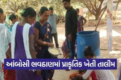 Ambosi Bhavthan Natural Farming Training Valsad