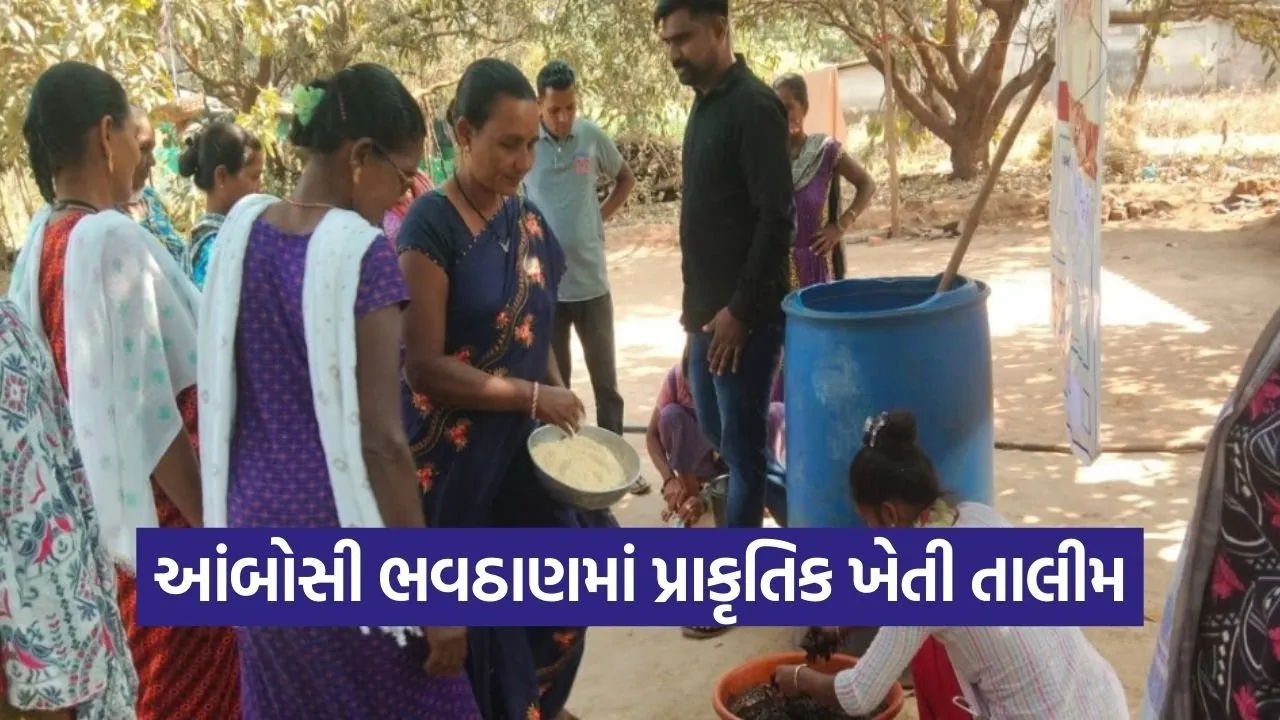 Ambosi Bhavthan Natural Farming Training Valsad.jpg