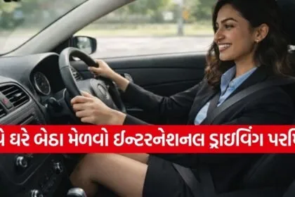 International Driving Permit