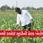 Dabhoi Natural Farming Success Story 1