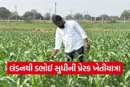 Dabhoi Natural Farming Success Story 1