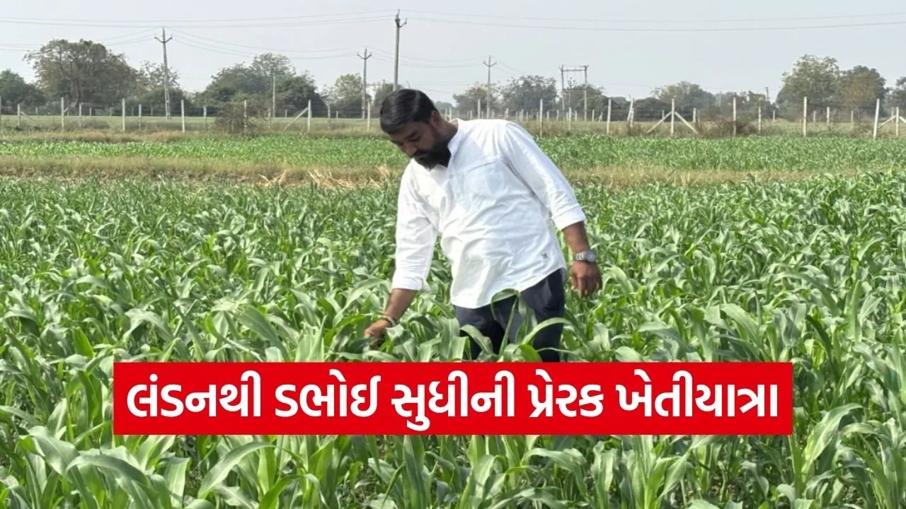 Dabhoi Natural Farming Success Story 1.jpg