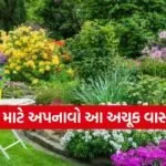Vastu Tips