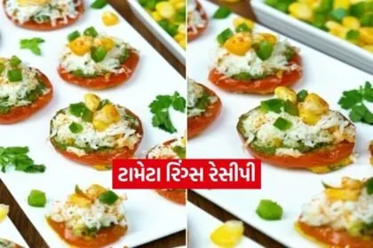 Dharmishtha 2026 02 12T162651.643