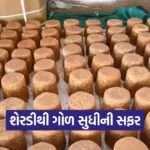 Kutch Natural Farming Sugarcane Jaggery 1
