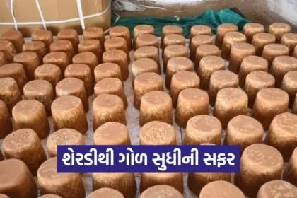 Kutch Natural Farming Sugarcane Jaggery 1
