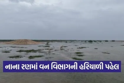 Kutch Little Rann Wildlife Water Conservation Project 2026