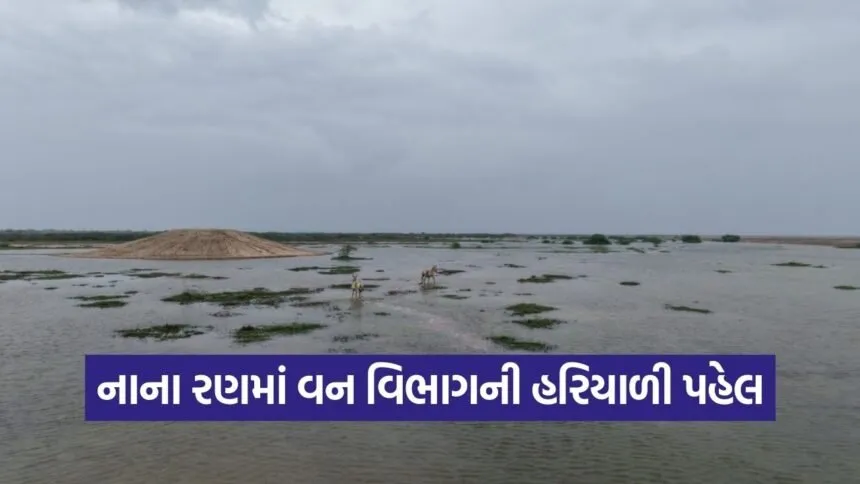 Kutch Little Rann Wildlife Water Conservation Project 2026