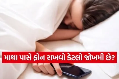 Phone 1302
