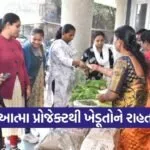 Valsad Natural Farming ATMA Project Initiative 1