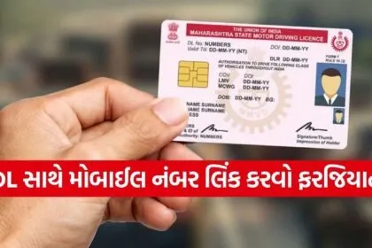 Driving Licence