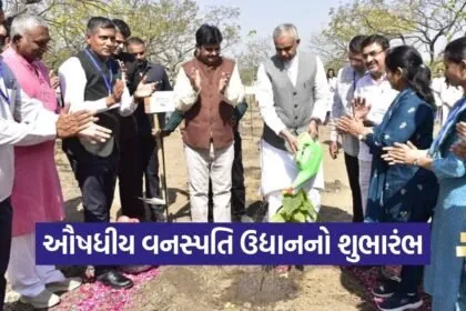 Saurashtra University Medicinal Plant Garden Project 1