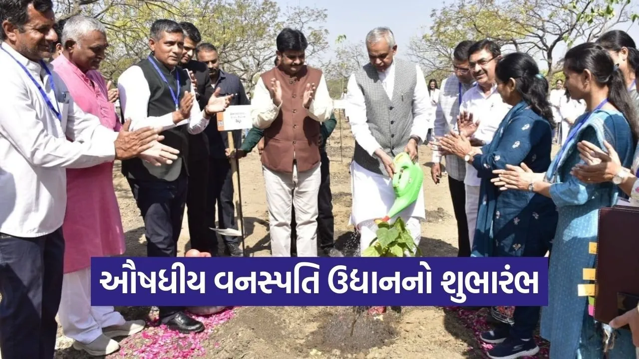 Saurashtra University Medicinal Plant Garden Project 1.jpg