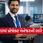 IT Project Manager